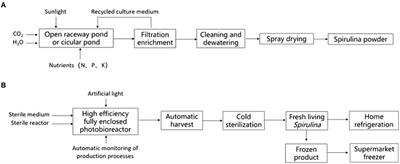 Manufacturing processes, additional nutritional value and versatile food applications of fresh microalgae Spirulina